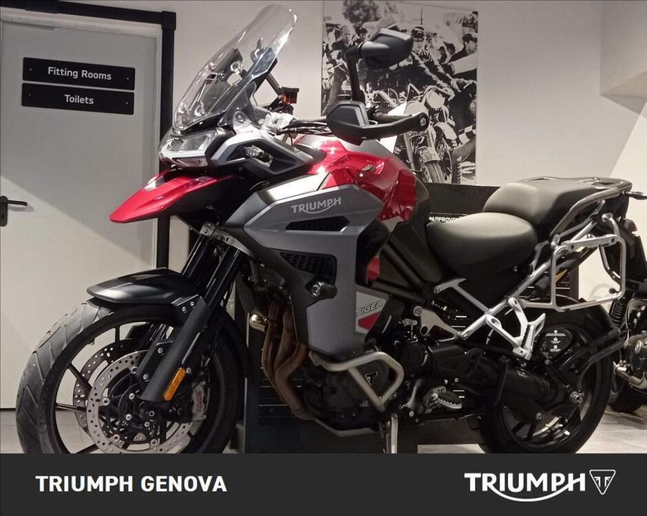 Triumph Tiger 1200 GT Explorer (2024 - 25) (2)