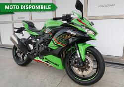 Kawasaki Ninja ZX-4RR (2024 - 25) nuova