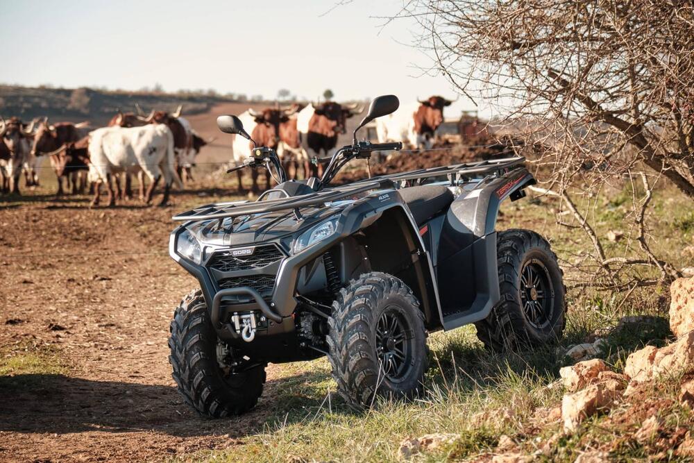  Altre moto o tipologie Quad (3)