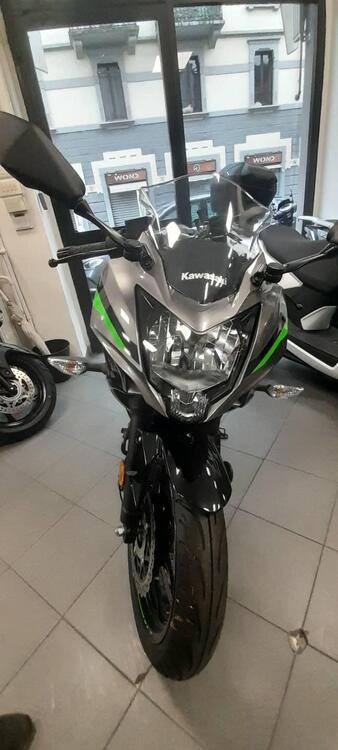 Kawasaki Ninja 125 (2021 - 25) (3)