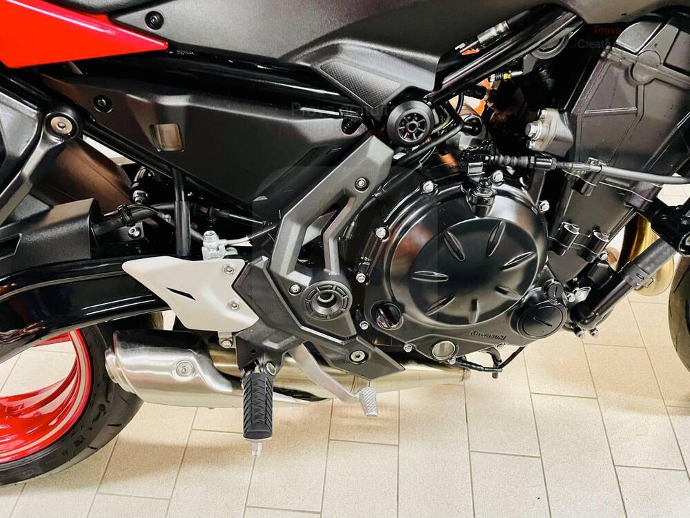 Kawasaki Z 650 50th Anniversary (2022 - 23) (5)