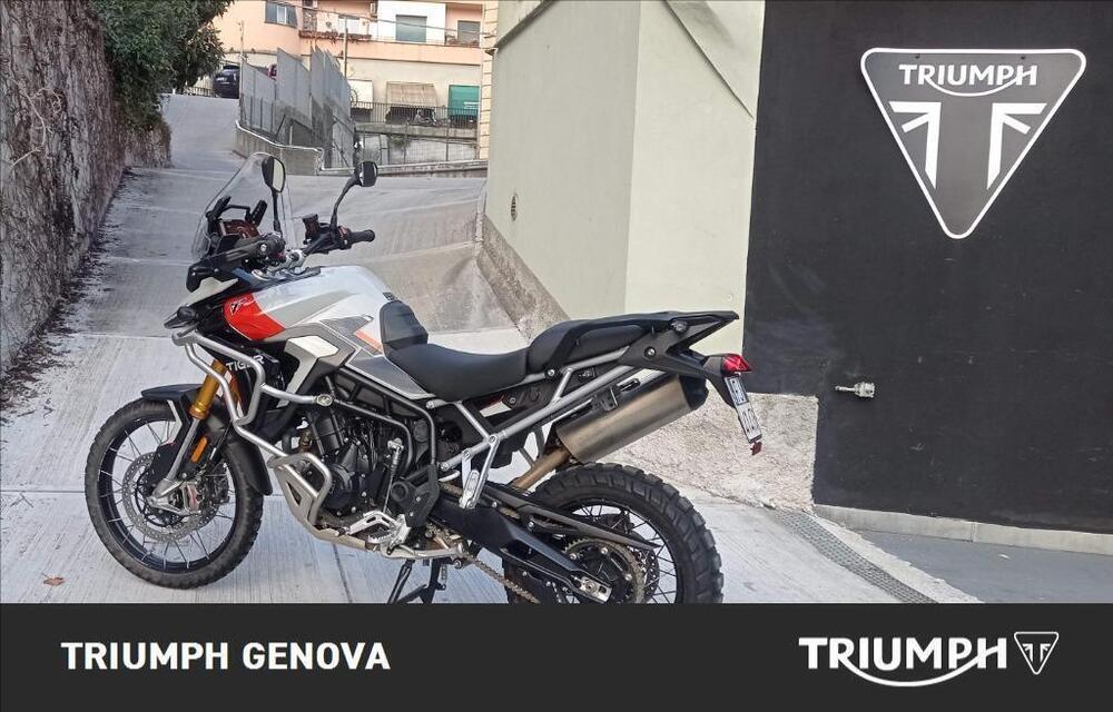 Triumph Tiger 900 Rally Pro (2024 - 25) (2)