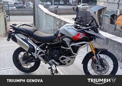 Triumph Tiger 900 Rally Pro (2024 - 25) usata