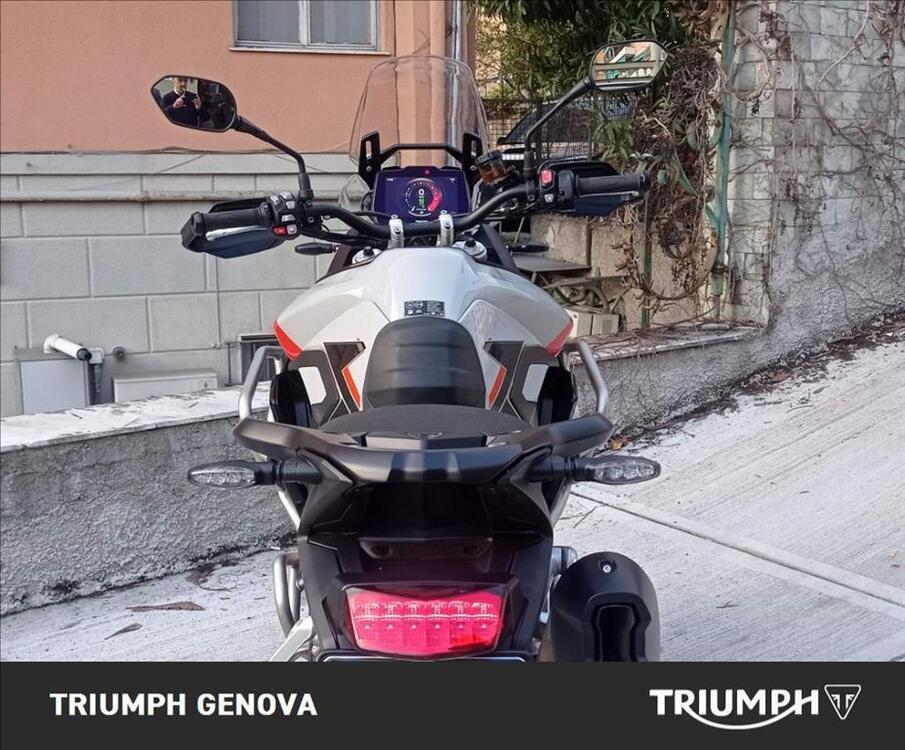 Triumph Tiger 900 Rally Pro (2024 - 25) (4)