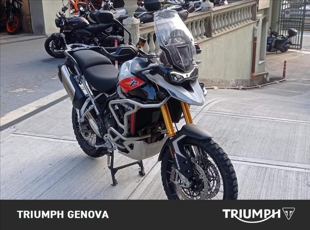 Triumph Tiger 900 Rally Pro (2024 - 25) (3)