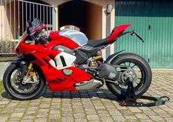 Ducati Panigale V4 R (2023 - 24) usata