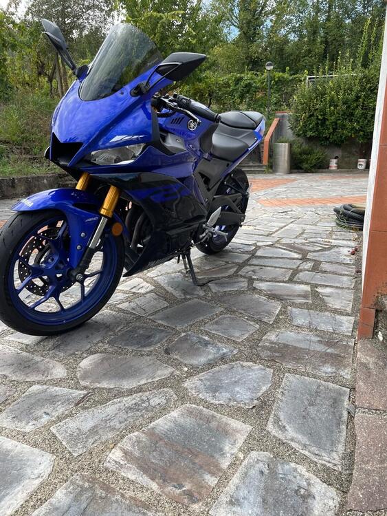 Yamaha YZF R3 (2019 - 20) (5)