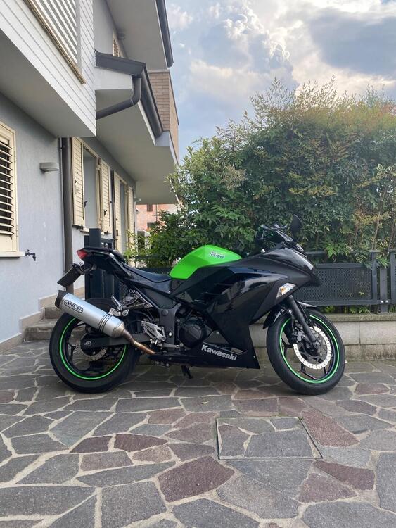 Kawasaki Ninja 300 (2012 - 14)