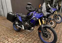 Yamaha Ténéré 700 Explore Edition (2023 - 25) usata