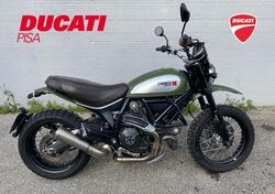 Ducati Scrambler 800 Urban Enduro (2015 - 16) usata