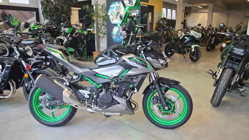 Kawasaki Z 500 SE (2024 - 26)