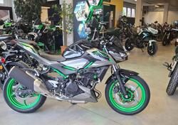 Kawasaki Z 500 SE (2024 - 25) nuova