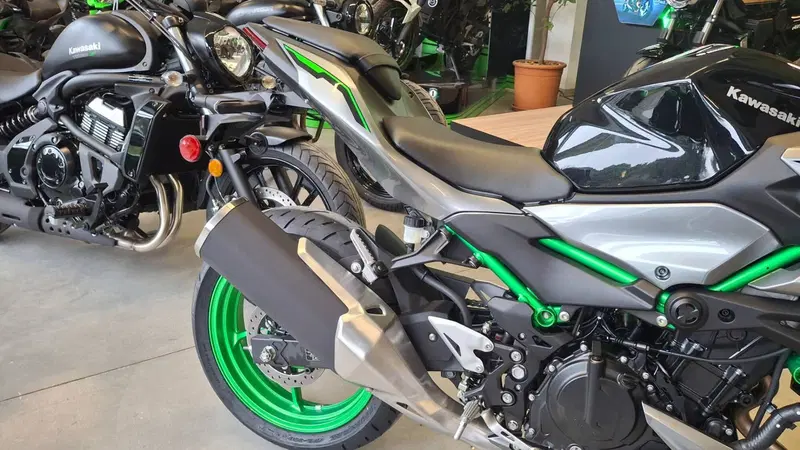 Kawasaki Z 500 SE (2024 - 26) (2)
