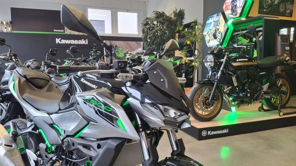 Kawasaki Z 500 SE (2024 - 26) (3)