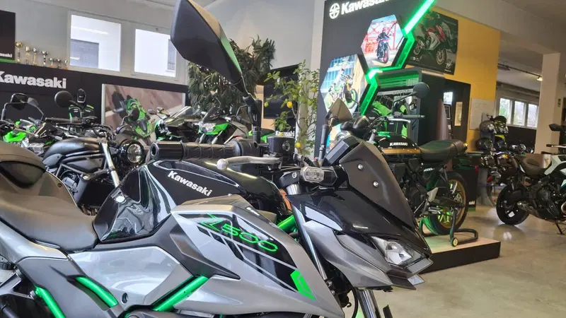 Kawasaki Z 500 SE (2024 - 26) (4)