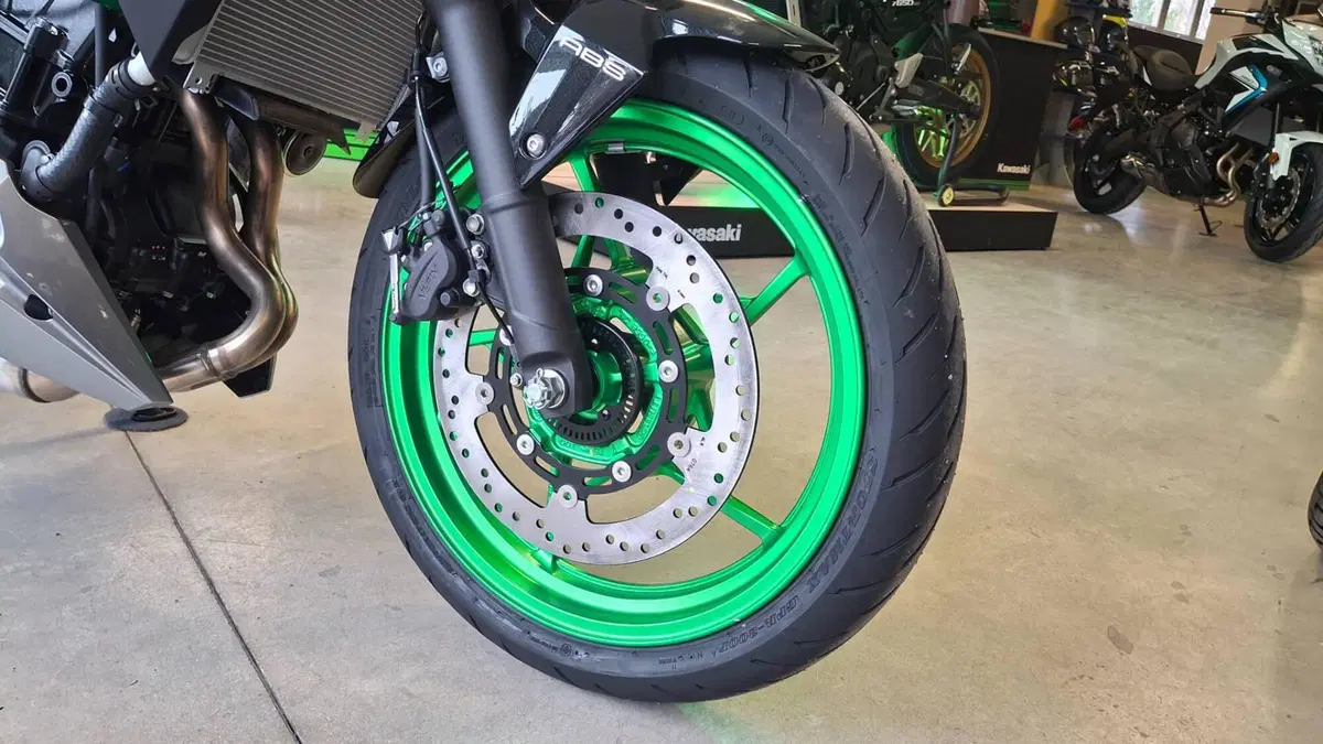 Kawasaki Z 500 SE (2024 - 26) (5)