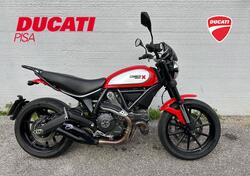 Ducati Scrambler 800 Icon (2015 - 16) usata