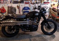 Triumph Scrambler (2006 - 17) usata