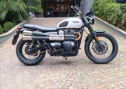 Triumph Street Scrambler 900 (2019 - 20) usata