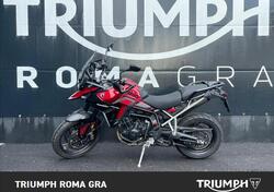 Triumph Tiger 900 GT Pro (2024 - 25) usata