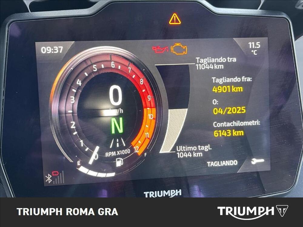 Triumph Tiger 900 GT Pro (2024 - 25) (4)