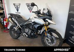 Triumph Tiger 900 Rally (2020 - 23) usata