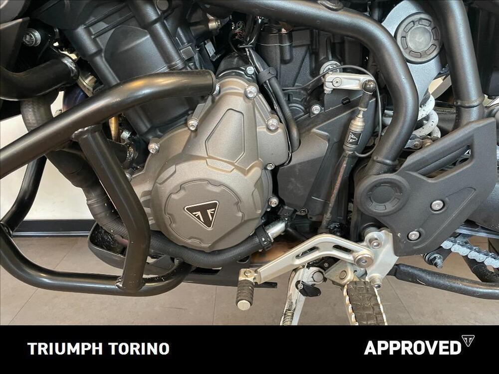 Triumph Tiger 900 Rally (2020 - 23) (4)