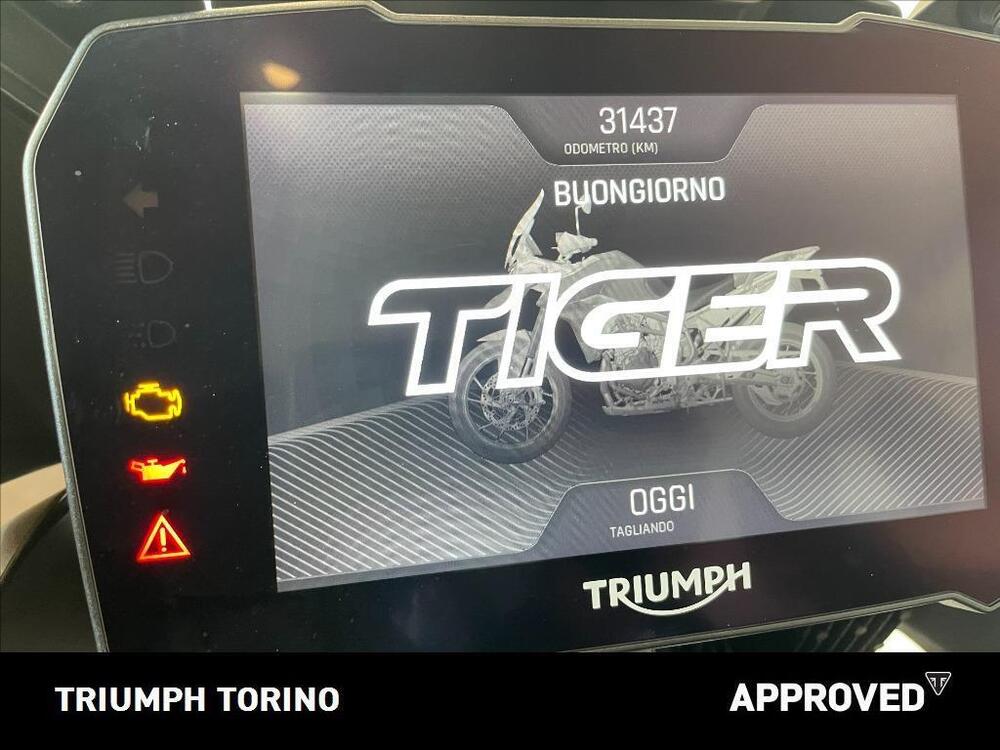 Triumph Tiger 900 Rally (2020 - 23) (5)