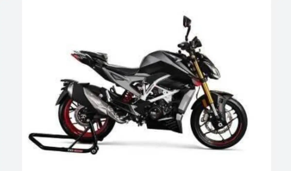 TVS Motor RTR 310 (2024 - 26) (2)