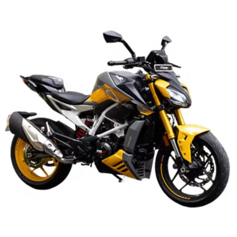 TVS Motor RTR 310 (2024 - 26)