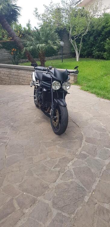 Triumph Speed Triple 1050 (2005 - 11) (2)