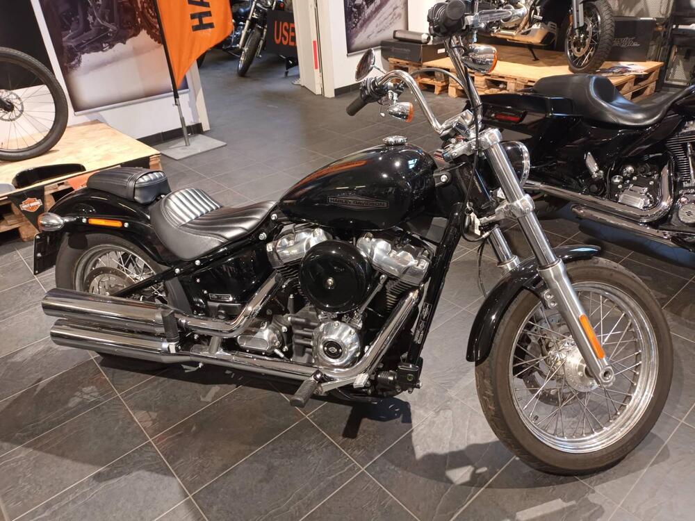 Harley-Davidson Softail Standard (2021 - 25)