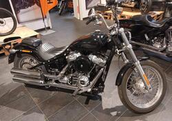 Harley-Davidson Softail Standard (2021 - 25) usata