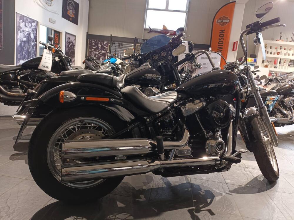 Harley-Davidson Softail Standard (2021 - 25) (2)