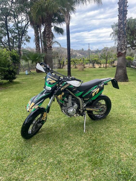 Kawasaki KLX 250 (2009) (5)