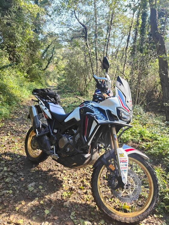 Honda Africa Twin CRF 1000L (2018 - 19) (2)