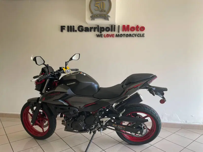 Kawasaki Z 500 SE (2024 - 26) (3)
