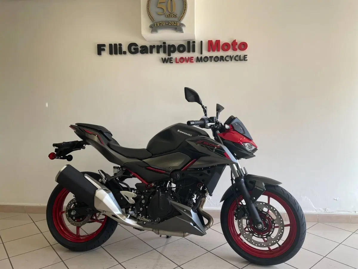 Kawasaki Z 500 SE (2024 - 26) (4)