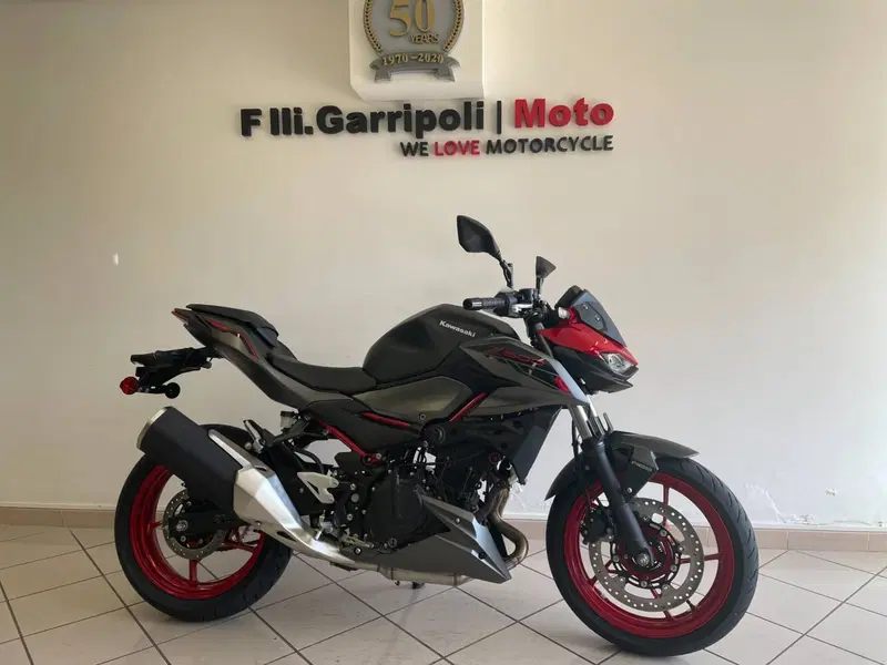 Kawasaki Z 500 SE (2024 - 26) (4)