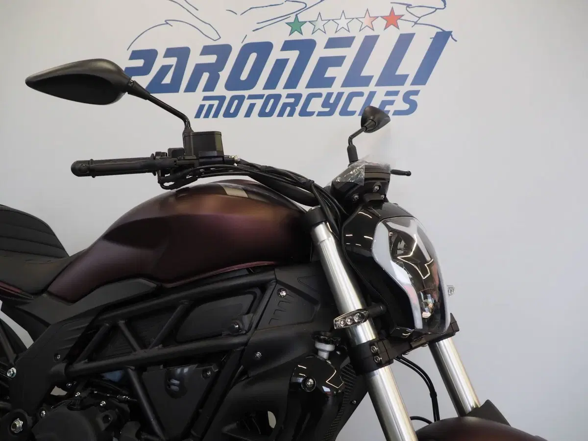 Benelli 502 C (2021 - 25) (5)