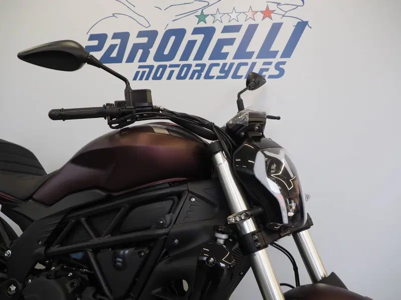 Benelli 502 C (2021 - 25) (5)