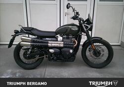 Triumph Street Scrambler 900 (2017 - 18) usata