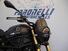 Benelli Leoncino 800 Trail (2022 - 25) (6)