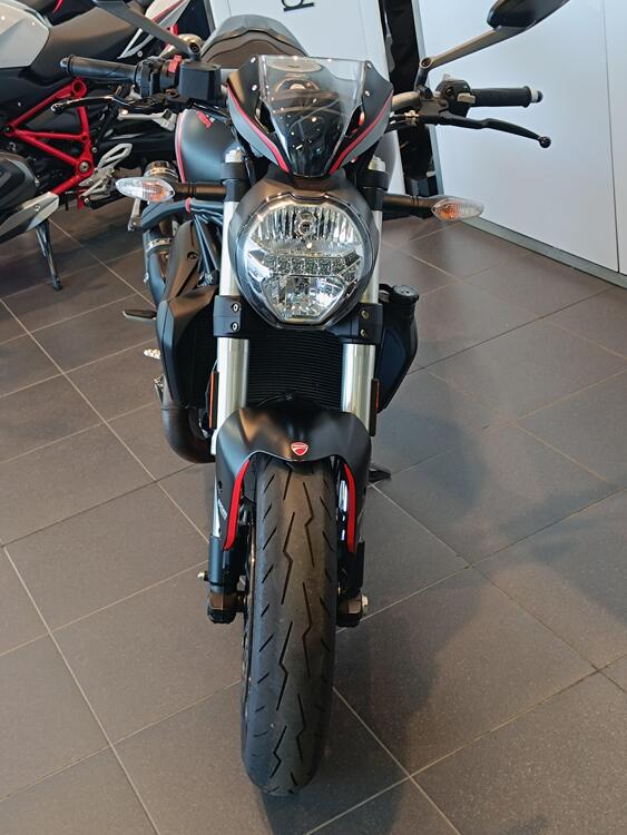 Ducati Monster 821 Stealth (2019 - 20) (3)