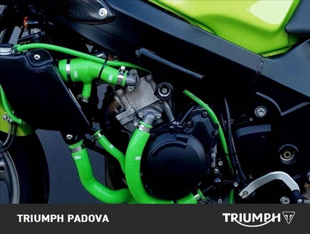 Triumph Baby Speed (3)