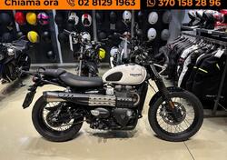 Triumph Street Scrambler 900 (2019 - 20) usata