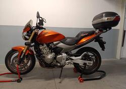 Honda Hornet 600 (2005 - 06) usata