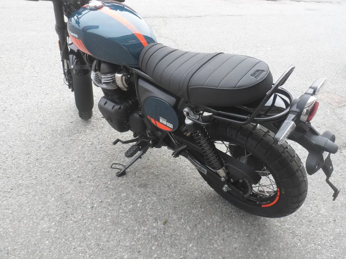 Royal Enfield Bear 650 (2025 - 26) (6)