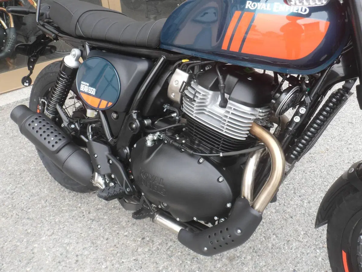 Royal Enfield Bear 650 (2025 - 26) (10)