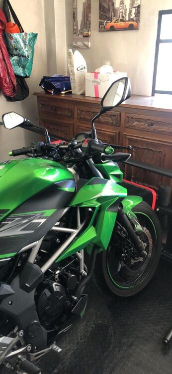 Kawasaki Z 125 (2019 - 20) (5)